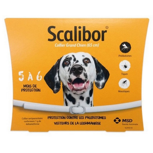 SCALIBOR GRAND CHIEN           	b/1       	collier